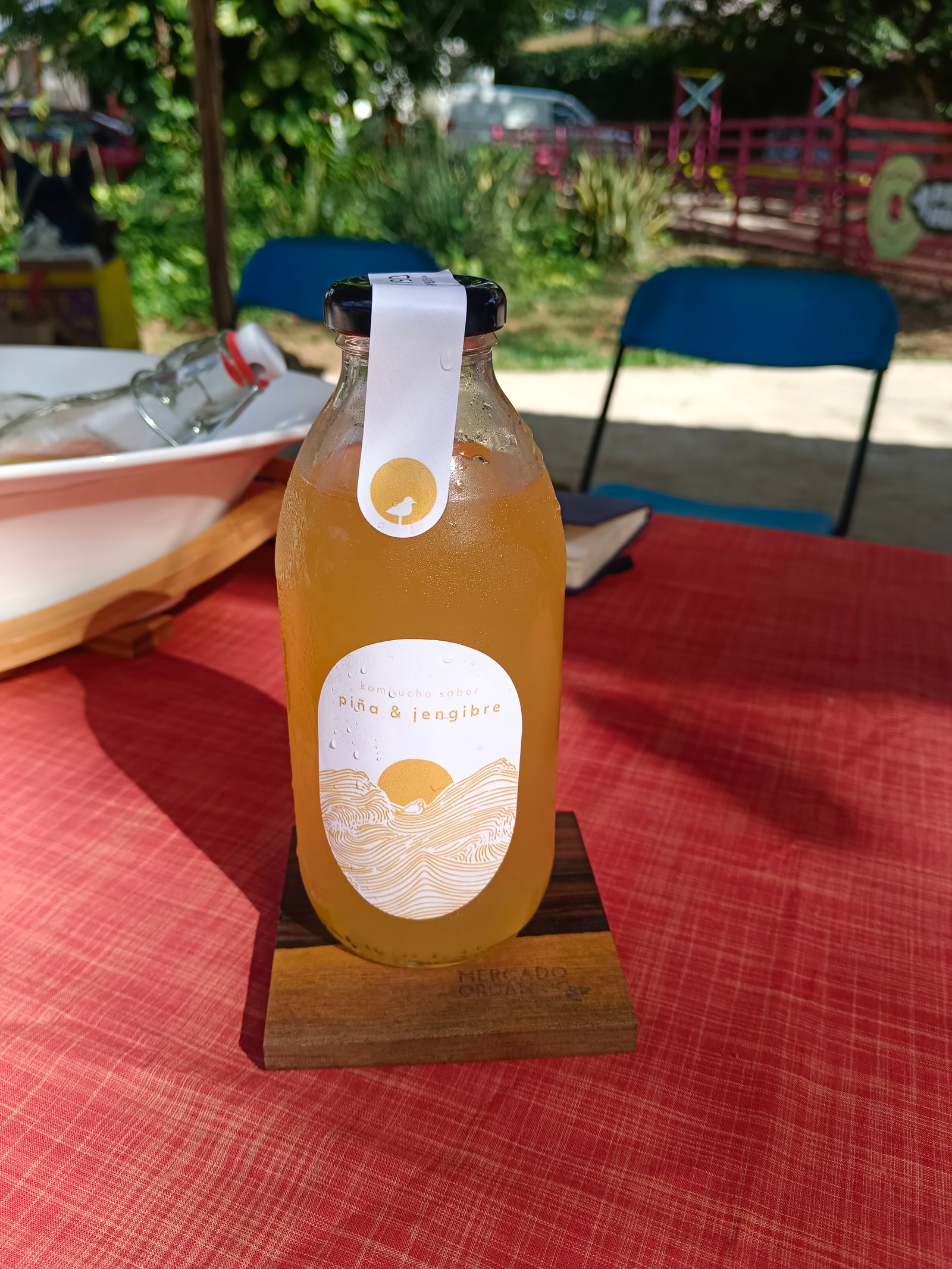 Kombucha piña y jengibre 